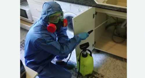 Уничтожение муравьев в квартире. Шимановск