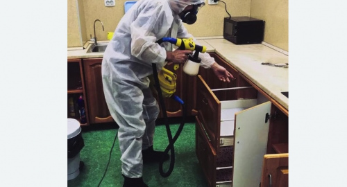 Уничтожение насекомых в квартире. Шимановск