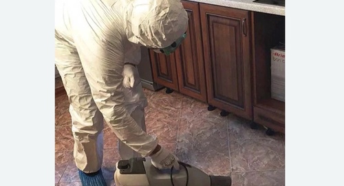 Уничтожение тараканов в квартире. Шимановск