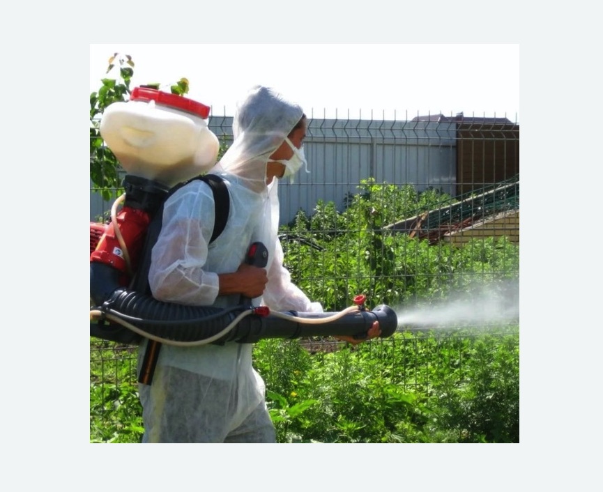 Акарицидная обработка территории в Шимановске