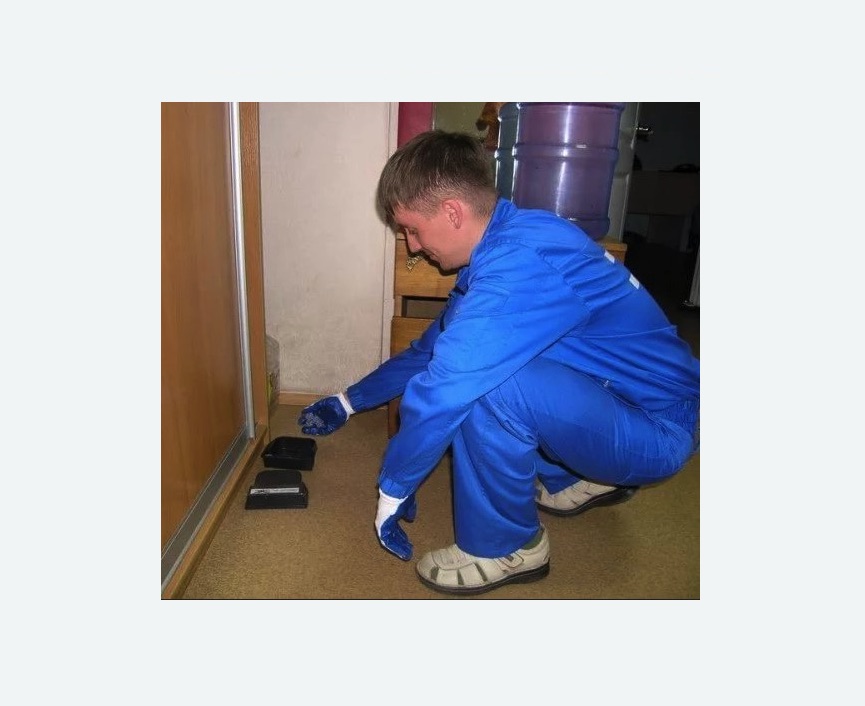 Дератизация крыс в Шимановске