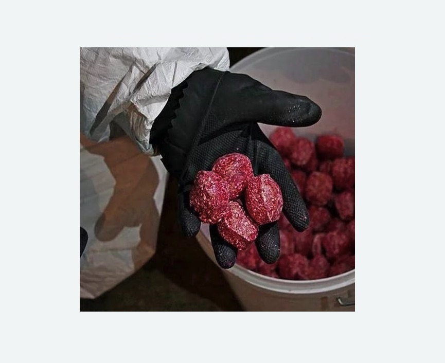 Обработка от крыс в Шимановске