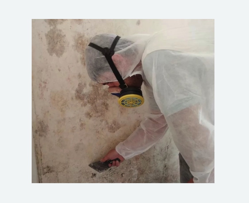 Обработка стен от плесени в Шимановске