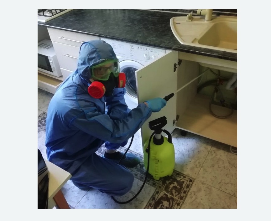 обработка от муравьев в квартире в Шимановске