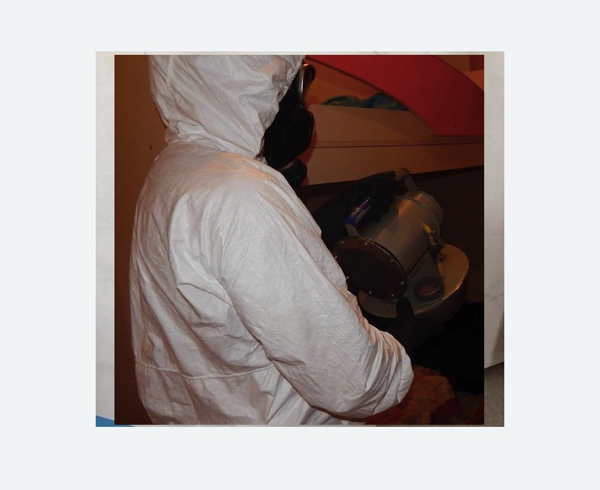 Дезинфекция от муравьев в Шимановске